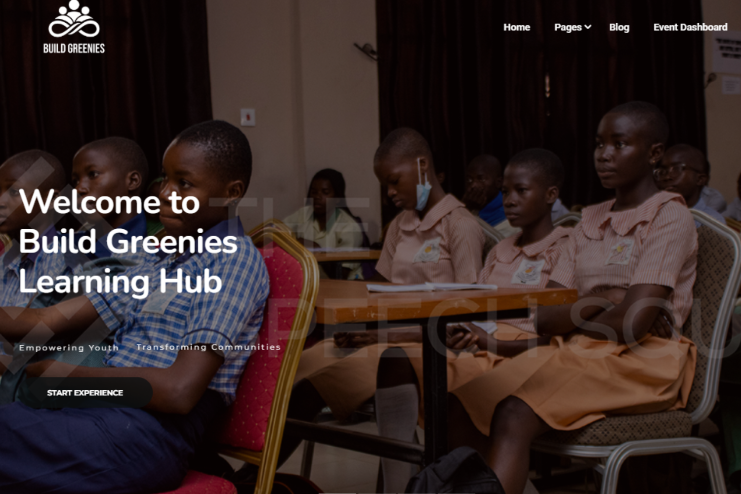 Build Greenies Learning Hub by Nova Limited - Website Developer in Lagos, Nigeria